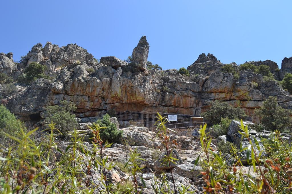 Apartamentos La Venta Del Charco Cardeña Dış mekan fotoğraf